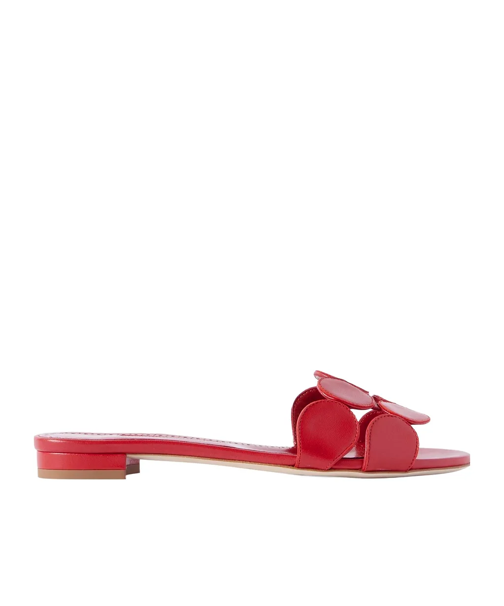 Round Toe Slippers