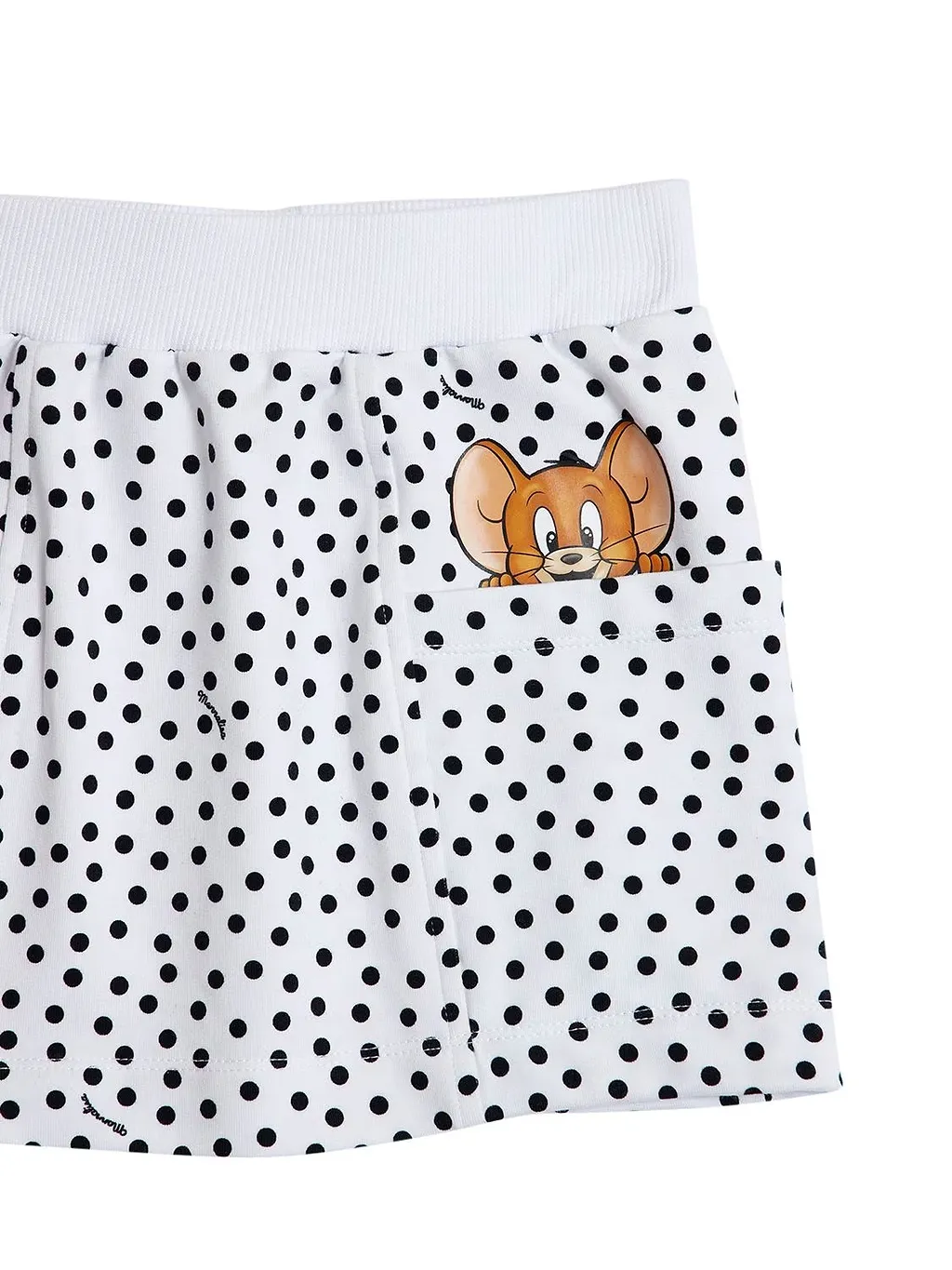 Printed Mini Skirt