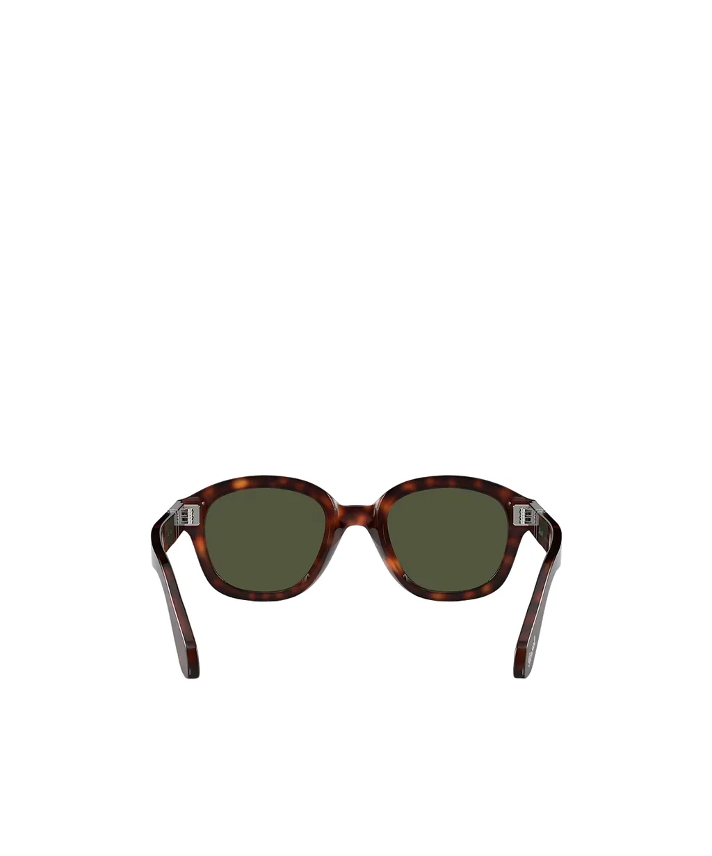 Po0060S