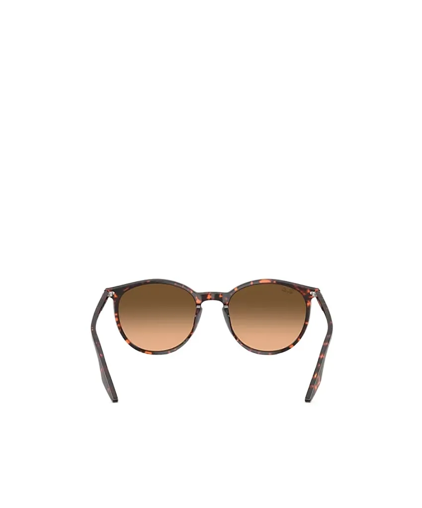Rb2203 Sunglasses