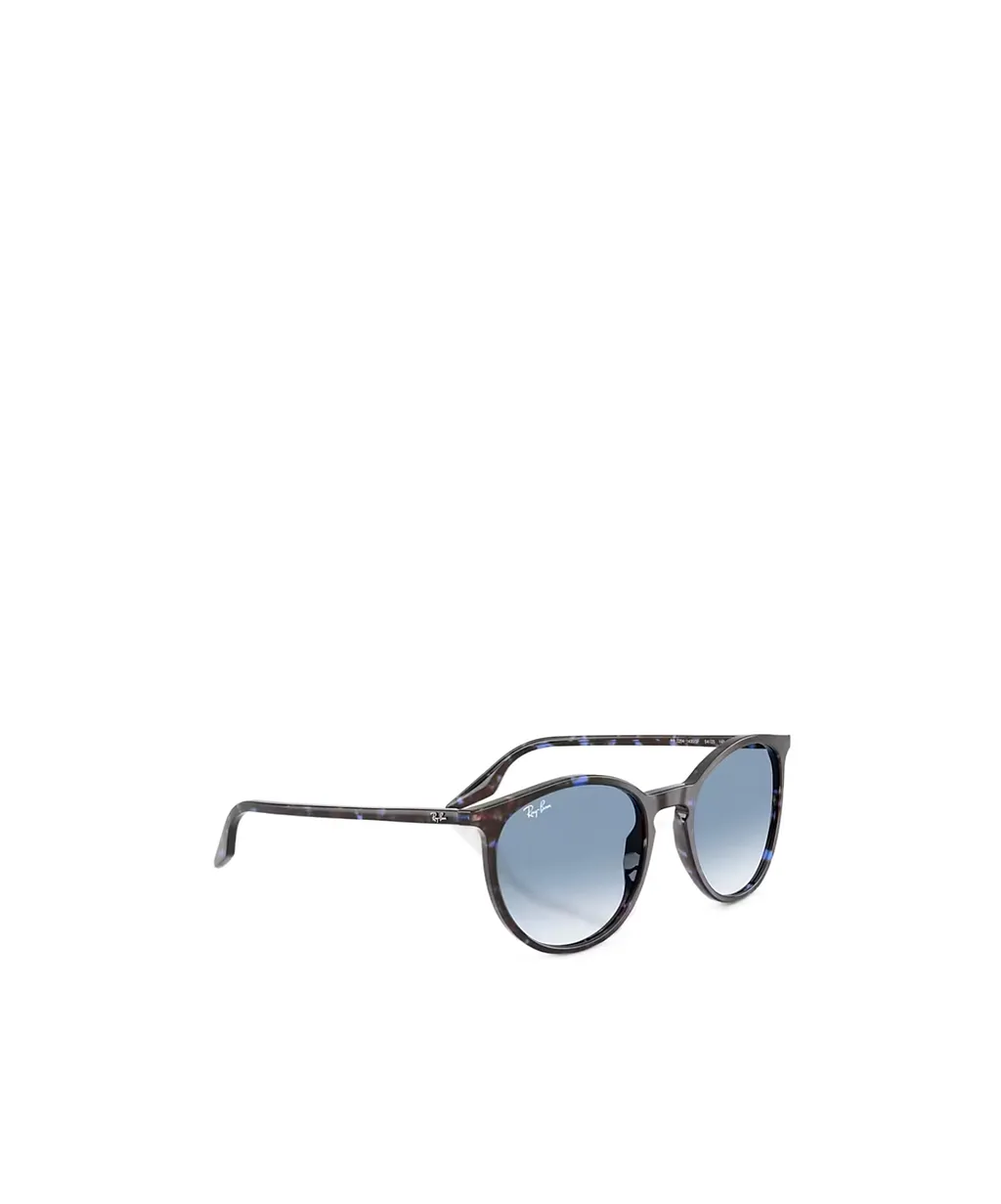 Rb2204 Sunglasses