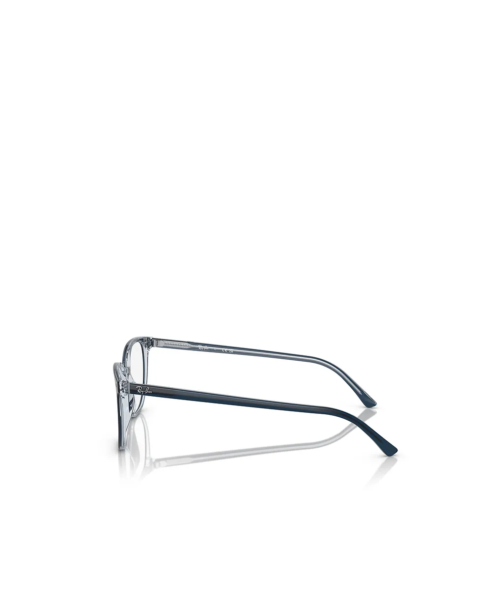 Ray-Ban Elliot Round Frame Glasses
