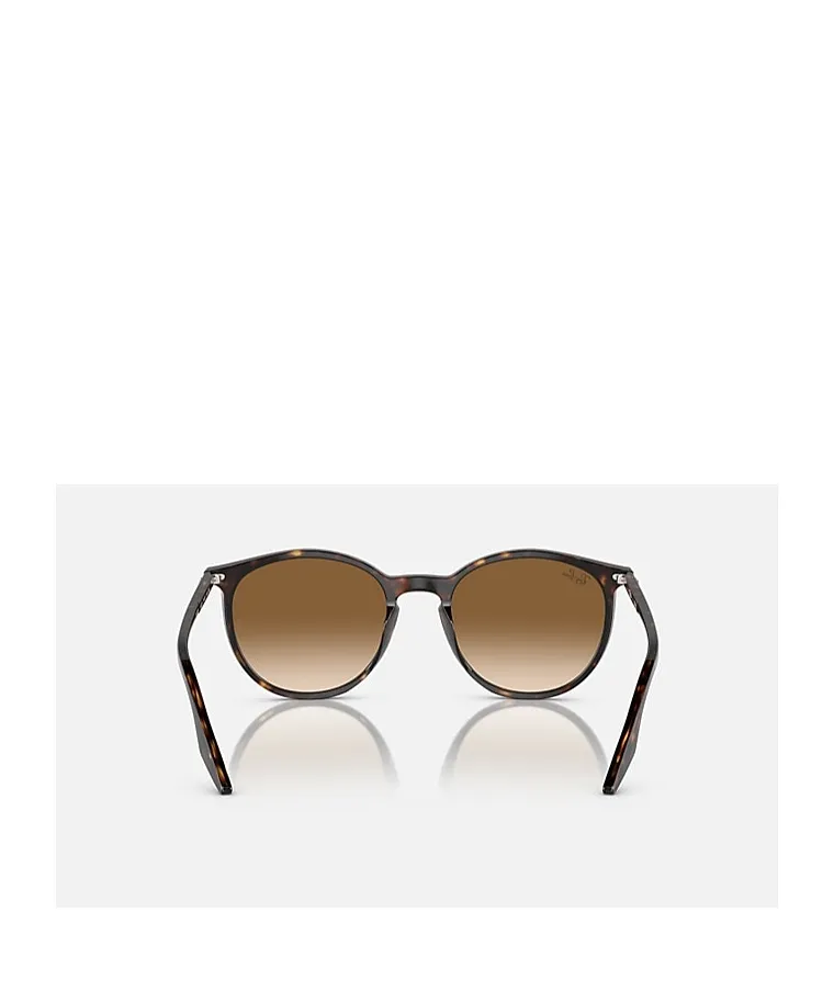 Full-Frame Sunglasses
