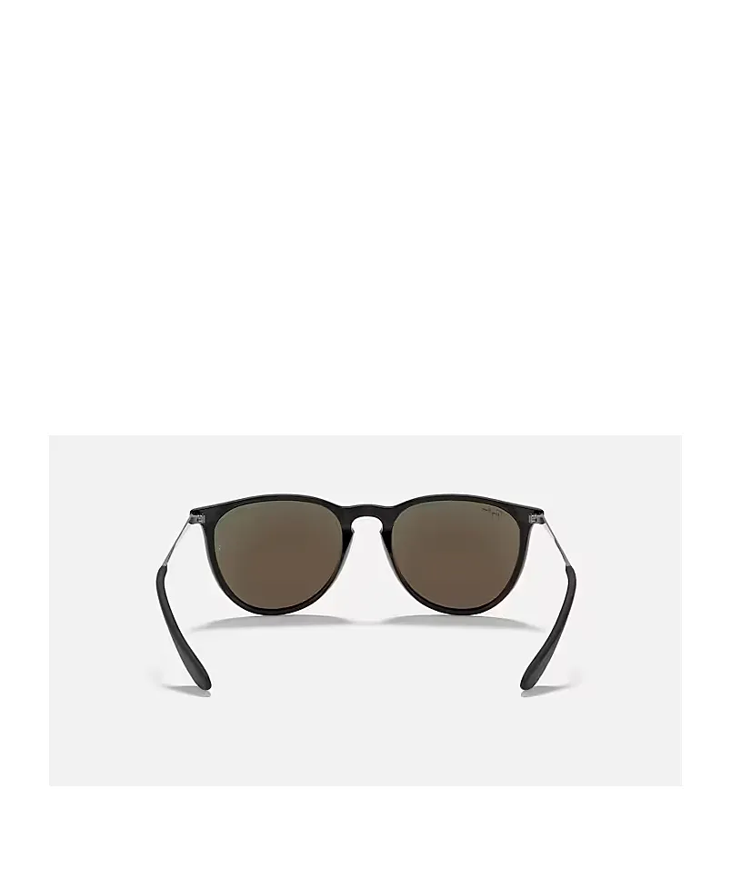 Ray-Ban Erika Classic Sunglasses