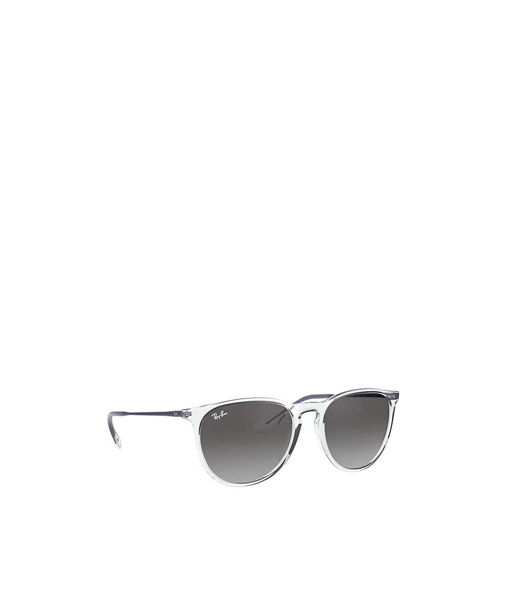Ray-Ban Erika Classic Sunglasses