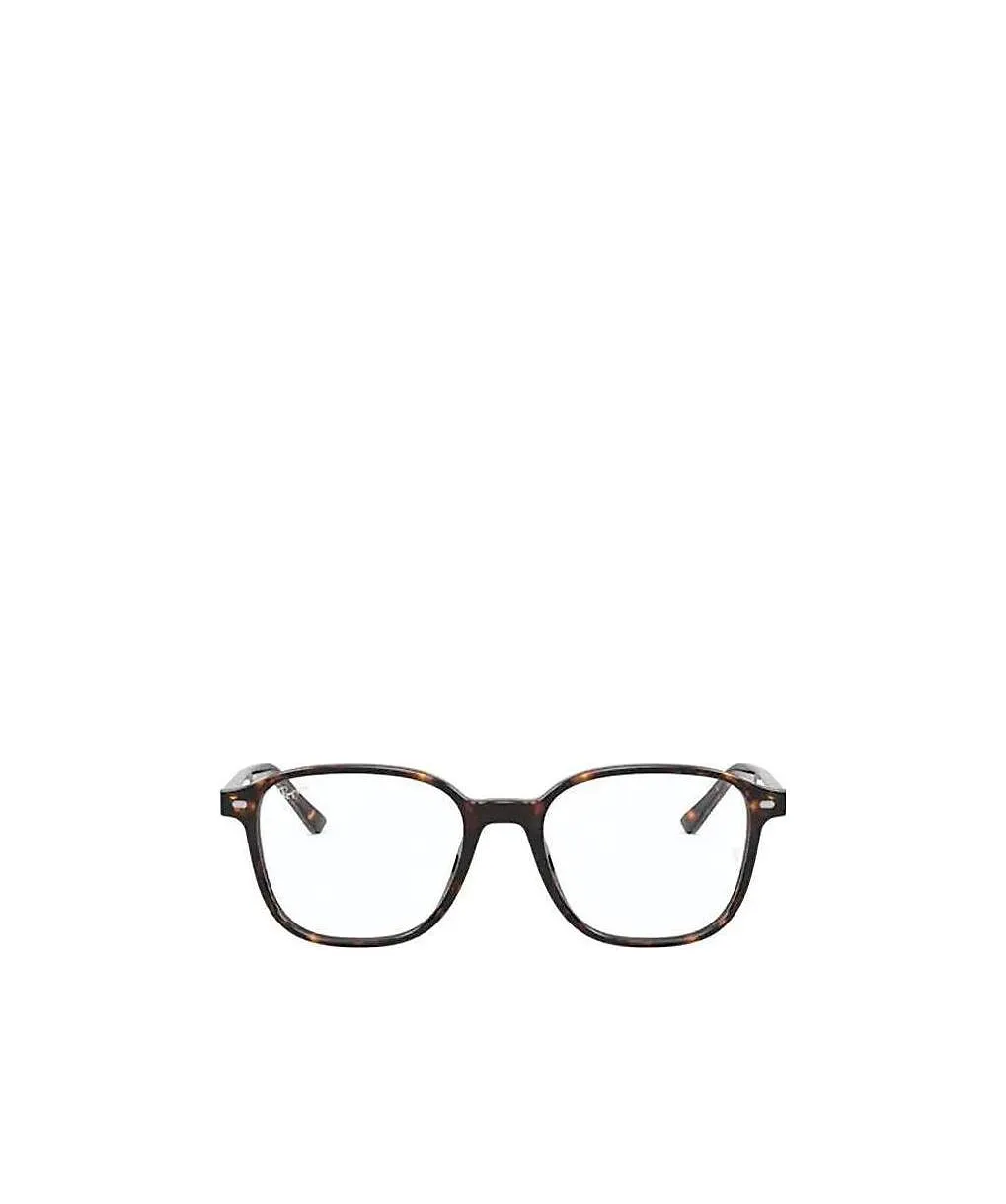 Ray-Ban Leonard Optics Glasses