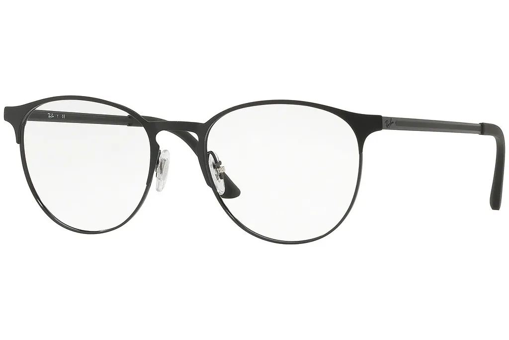 Ray-Ban Panthos Frame Glasses