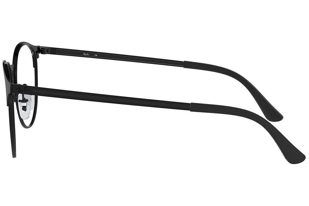 Ray-Ban Panthos Frame Glasses