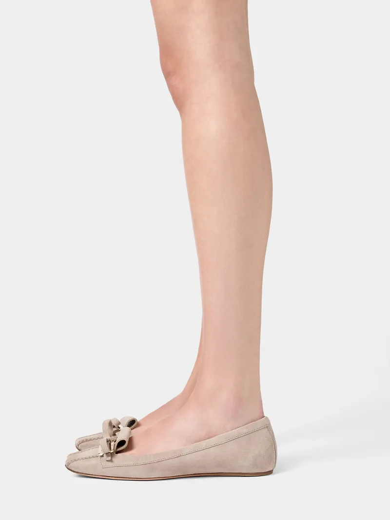 Virgule Ballerinas In Suede