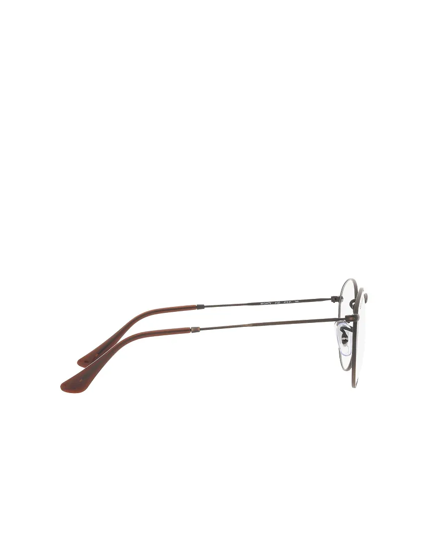 Ray-Ban Round Frame Glasses