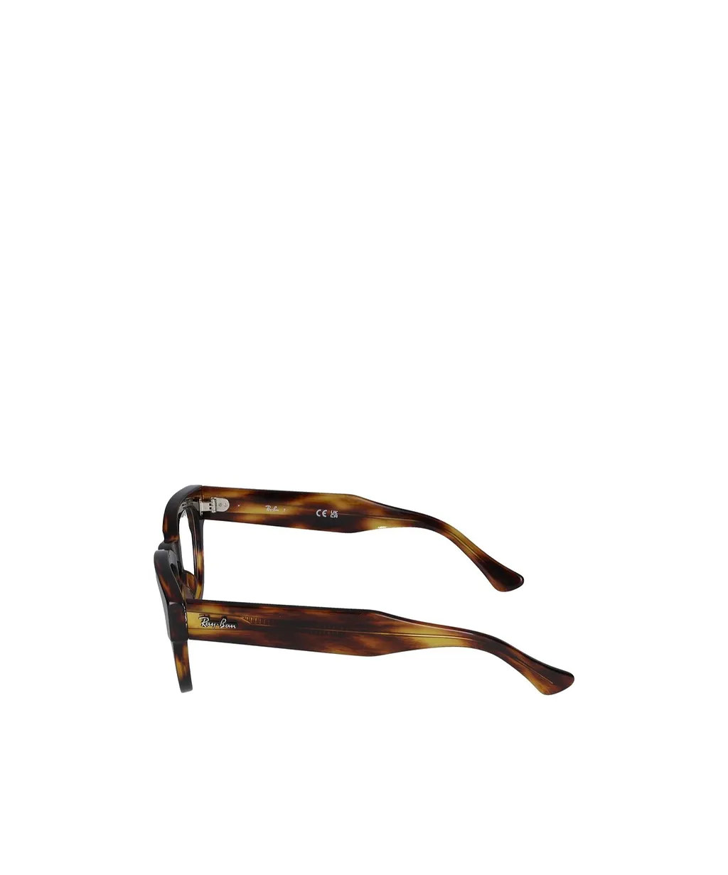 Ray-Ban Round Frame Glasses