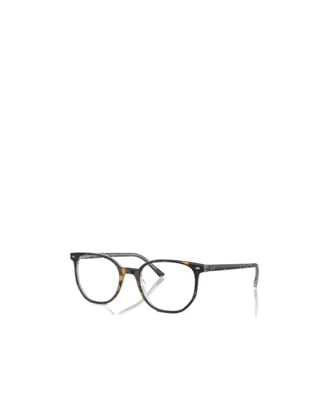 Ray-Ban Round Frame Glasses