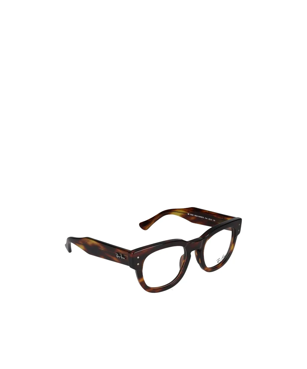 Ray-Ban Round Frame Glasses