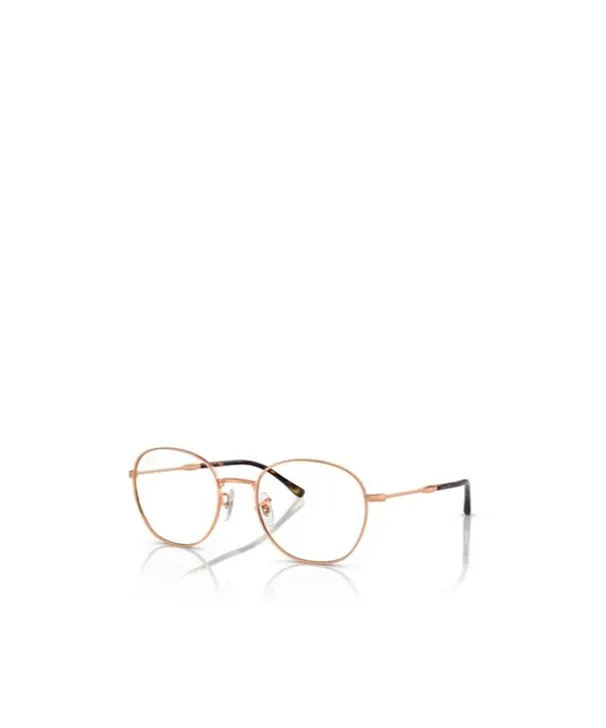 Ray-Ban Round Frame Glasses