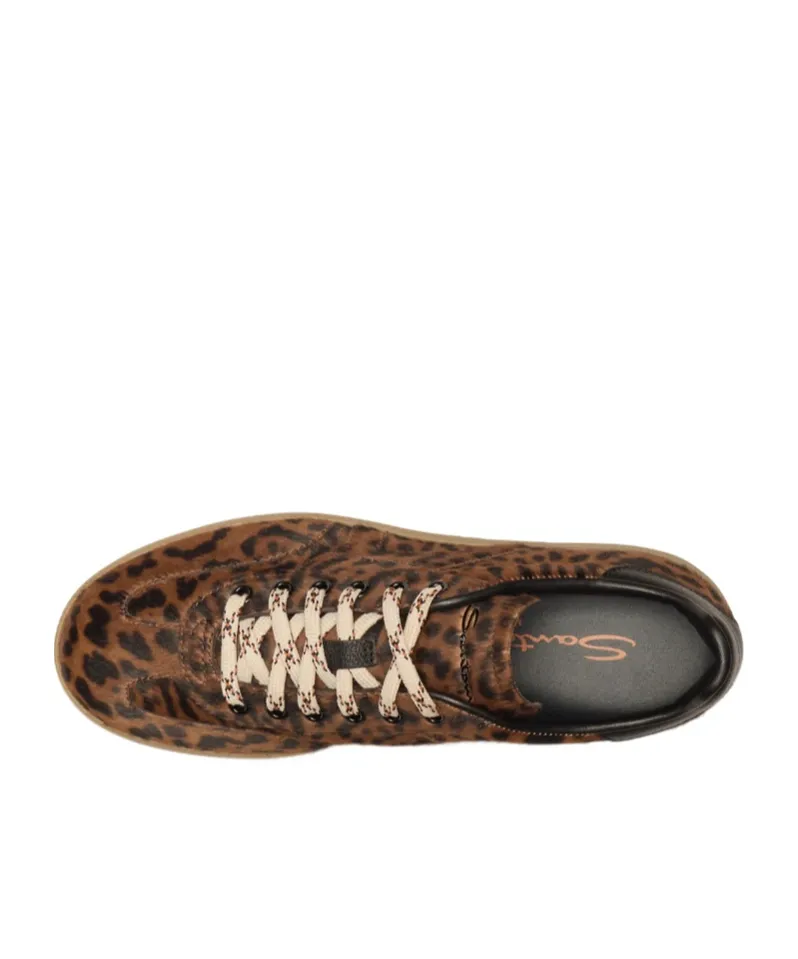 Dbs Oly Leopard-Print Sneakers
