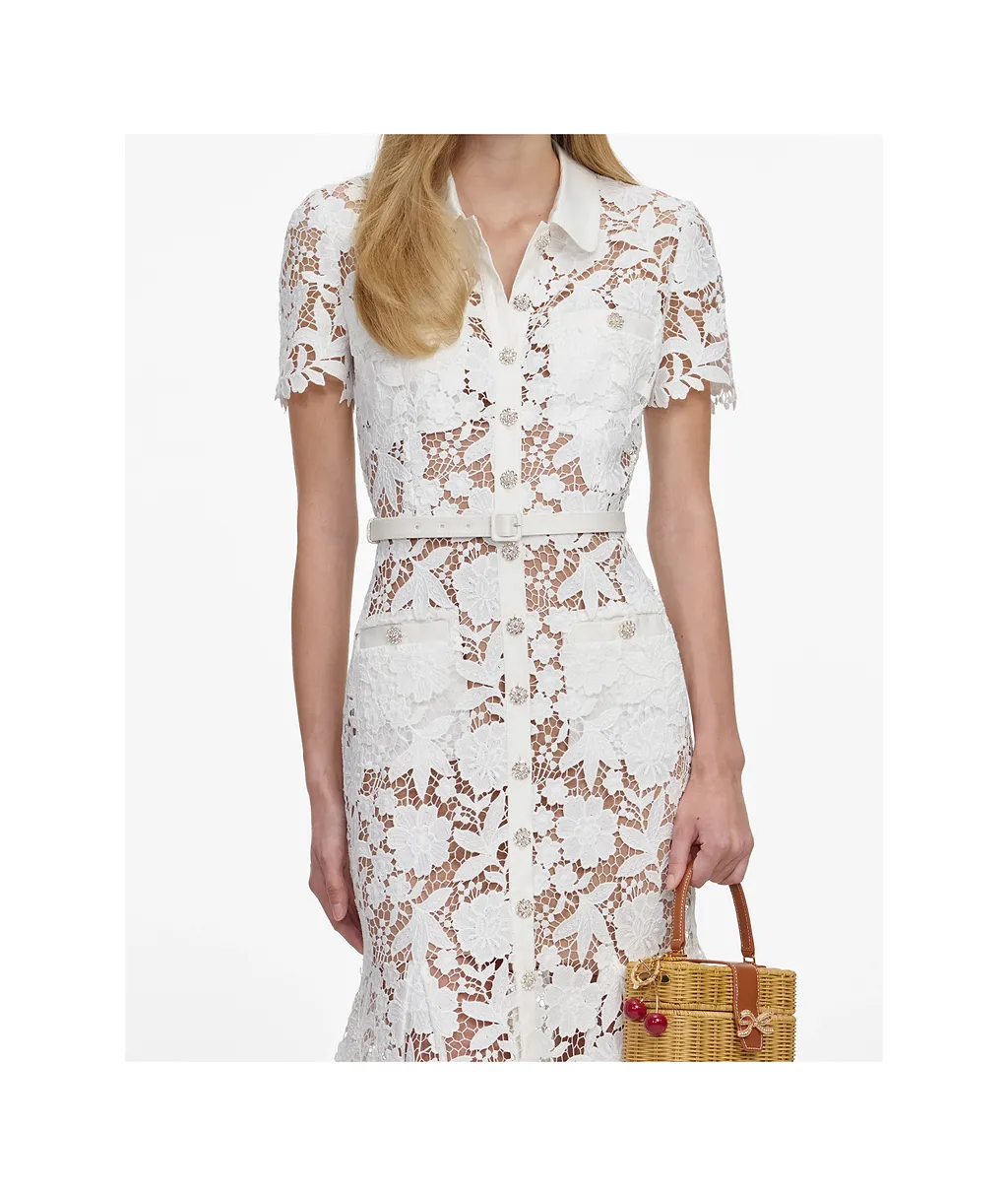 Lace Collared Midi Dress