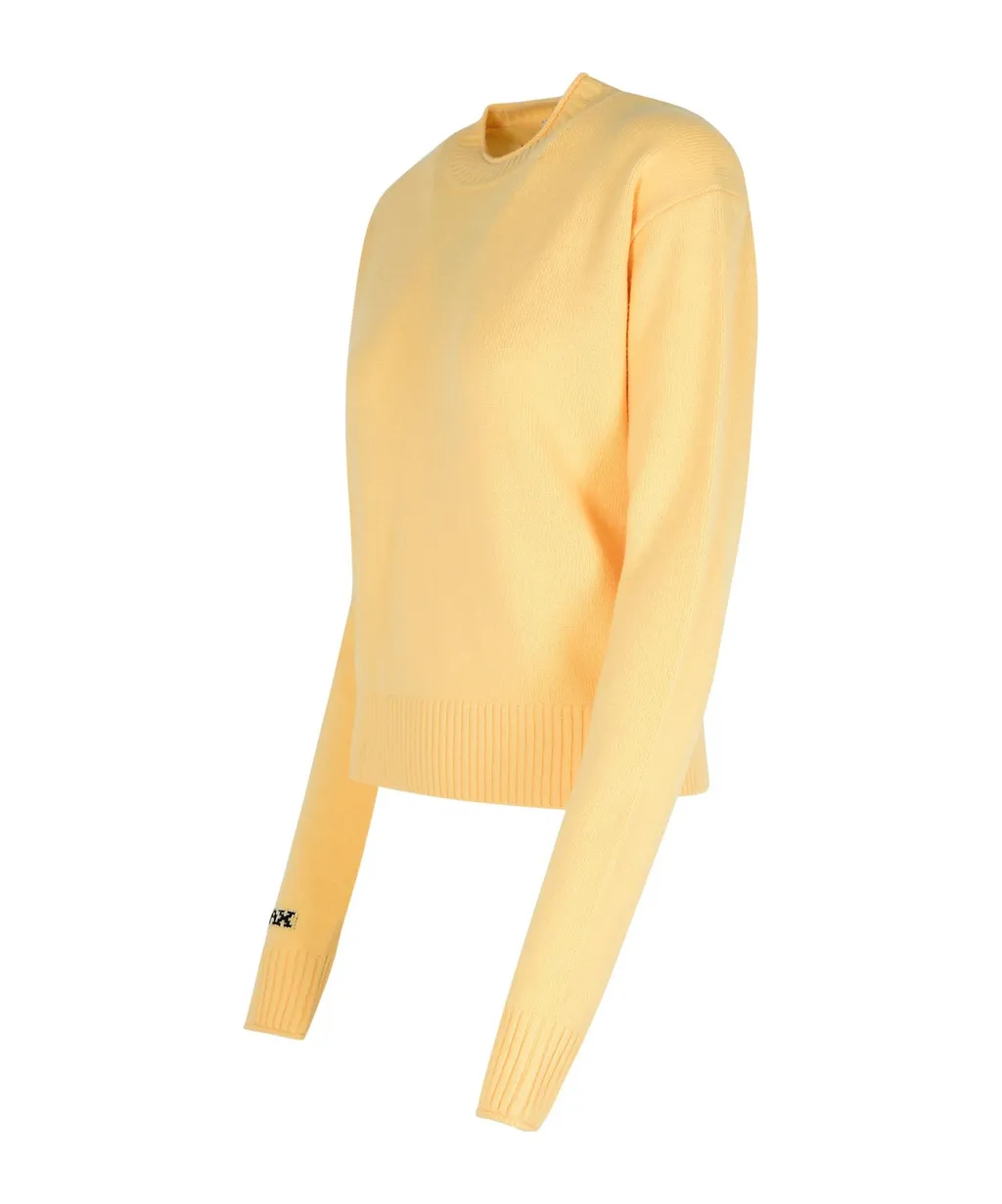 Sportmax Agadir 1234 Crewneck Long-Sleeved Jumper