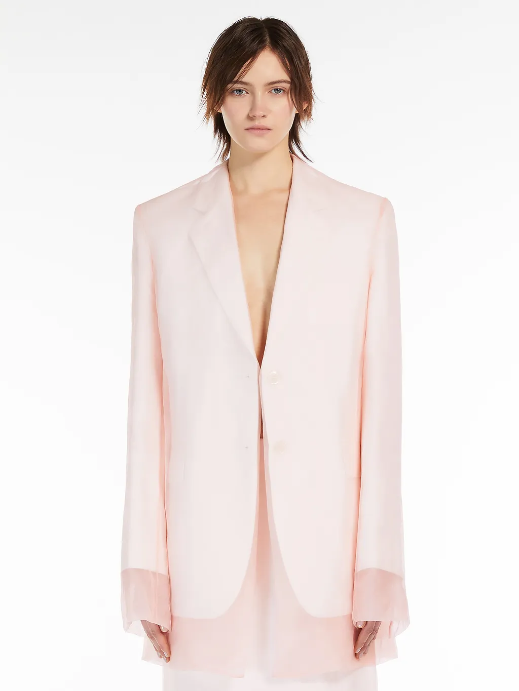 Sportmax Single-Breasted Long-Sleeved Jacket