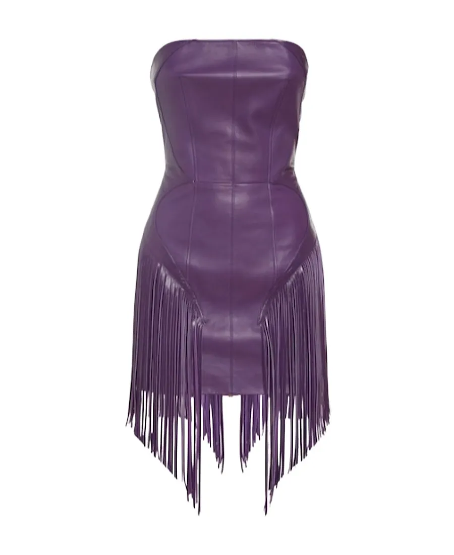 Tassel Mini Dress
