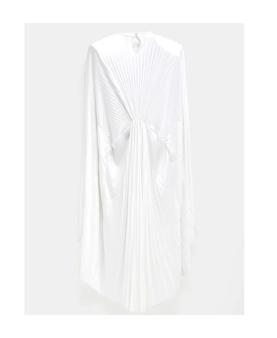 Pleated Medium-Length Dress