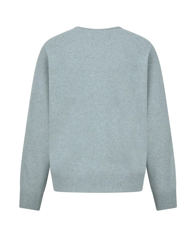 Racoon V-Neck Knit