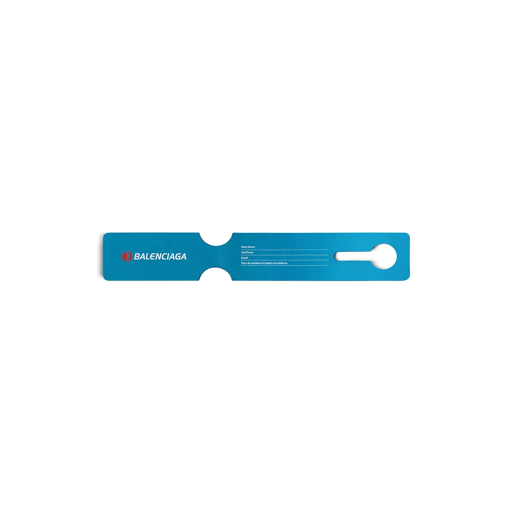 Luggage Swing Charm/Keychain