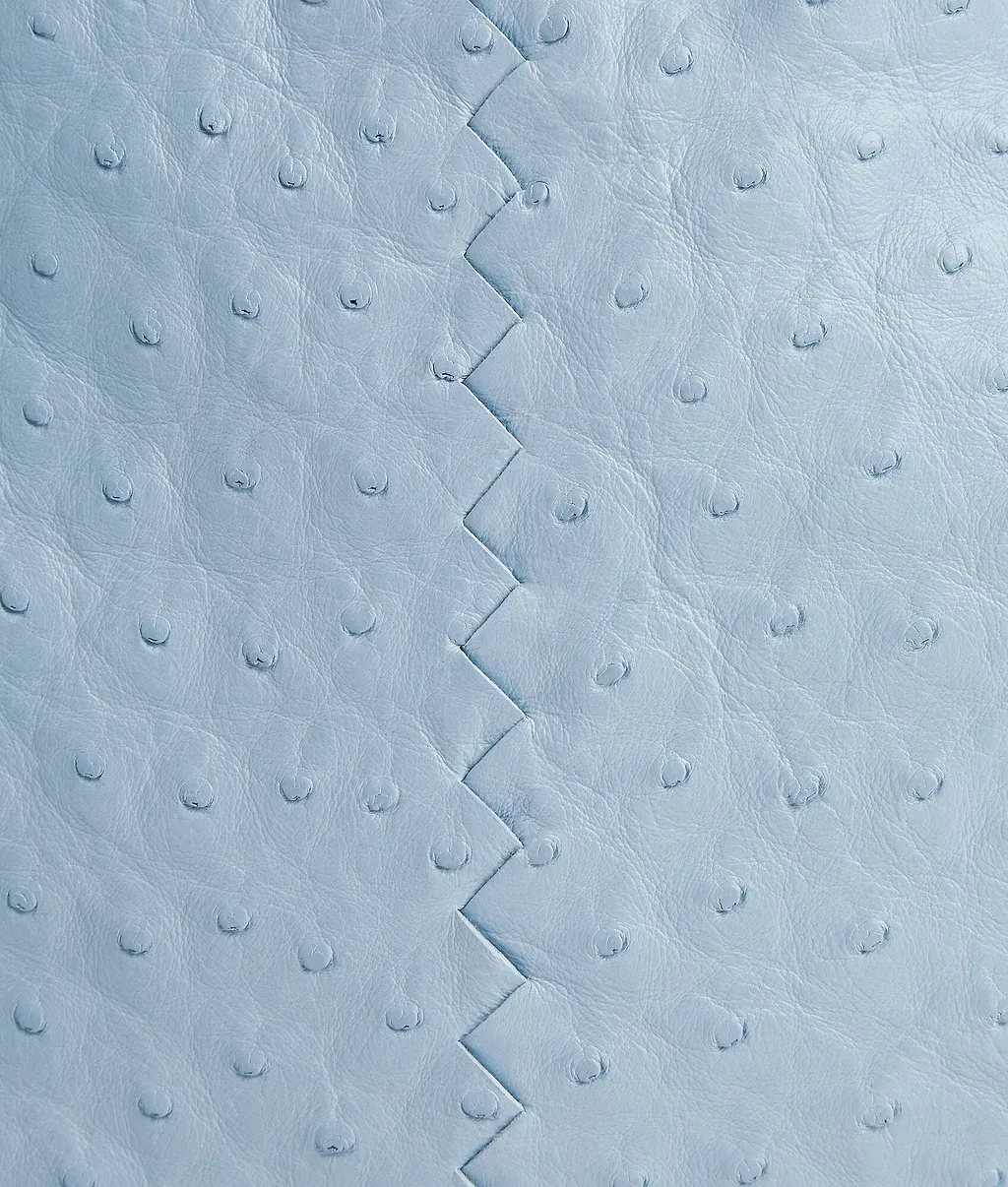 Dustbag