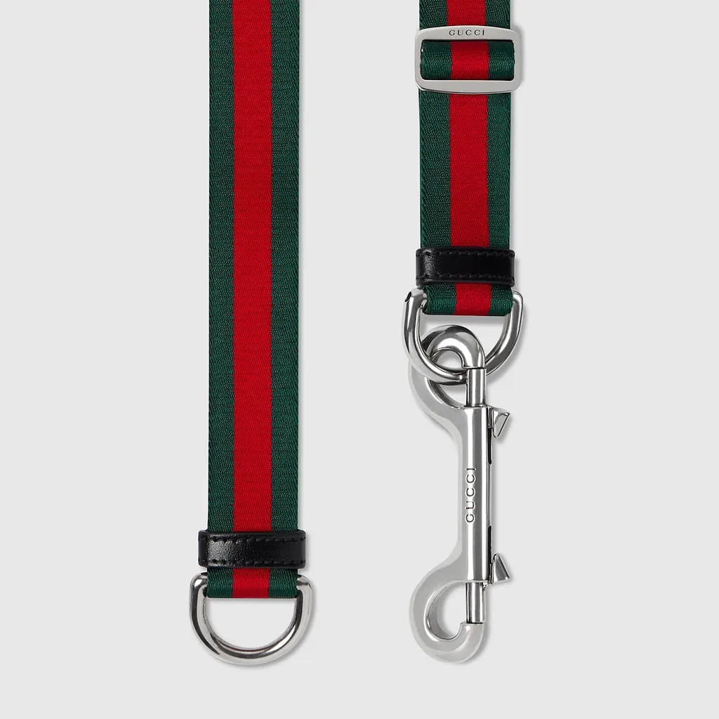 Thin Belt With Double Snap Hook Buckle, 2