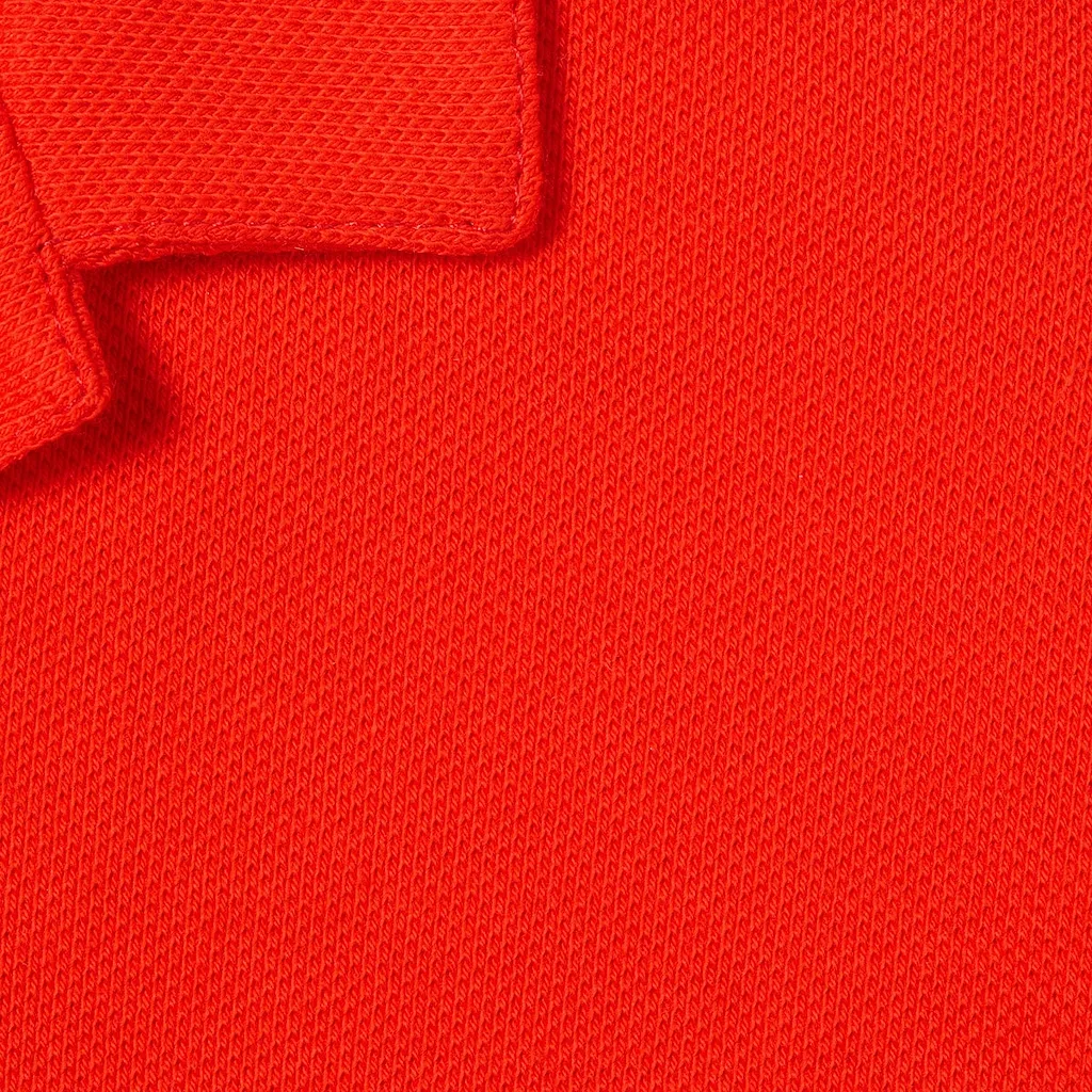 Baby Polo Shirt With Embroidery