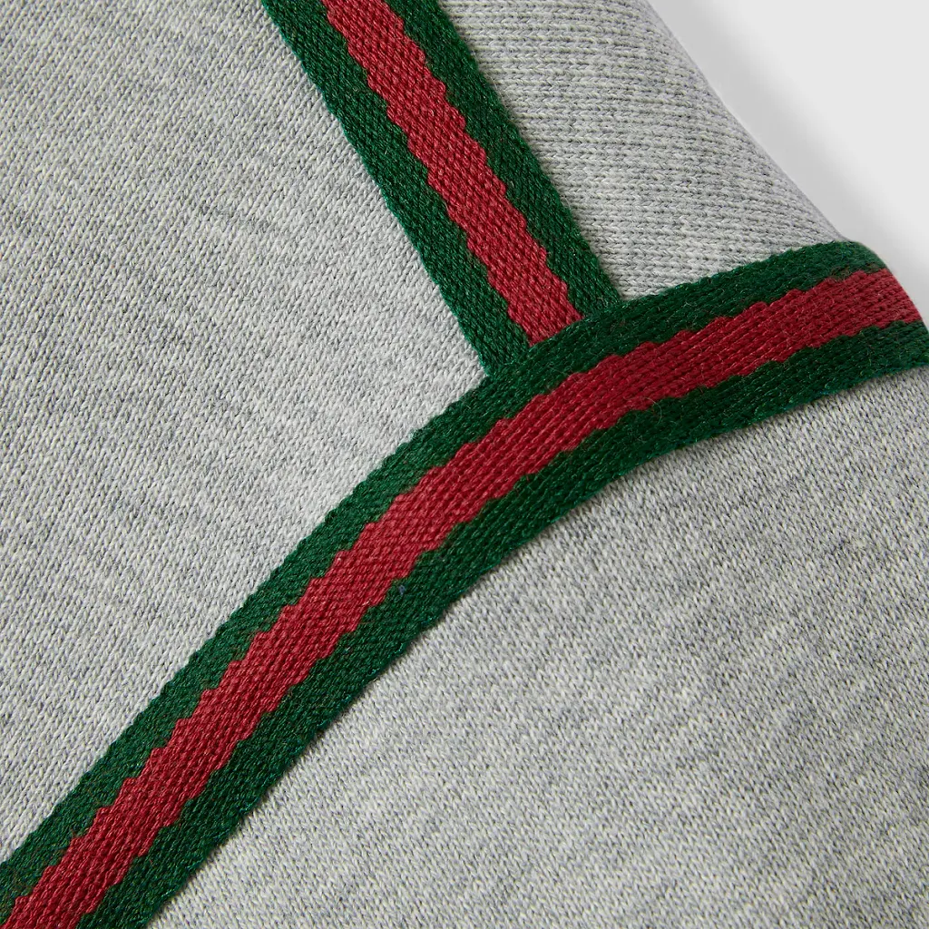 Cotton Jersey Hooded Sweatshirt With Web