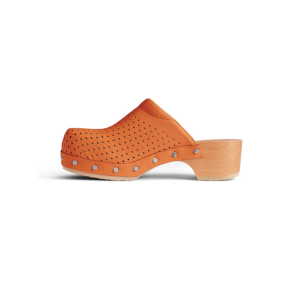 Scholl Clog Mule