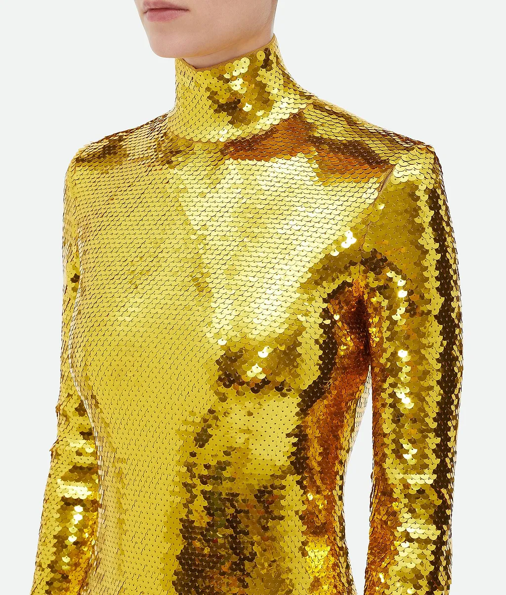Sequins Viscose Dress