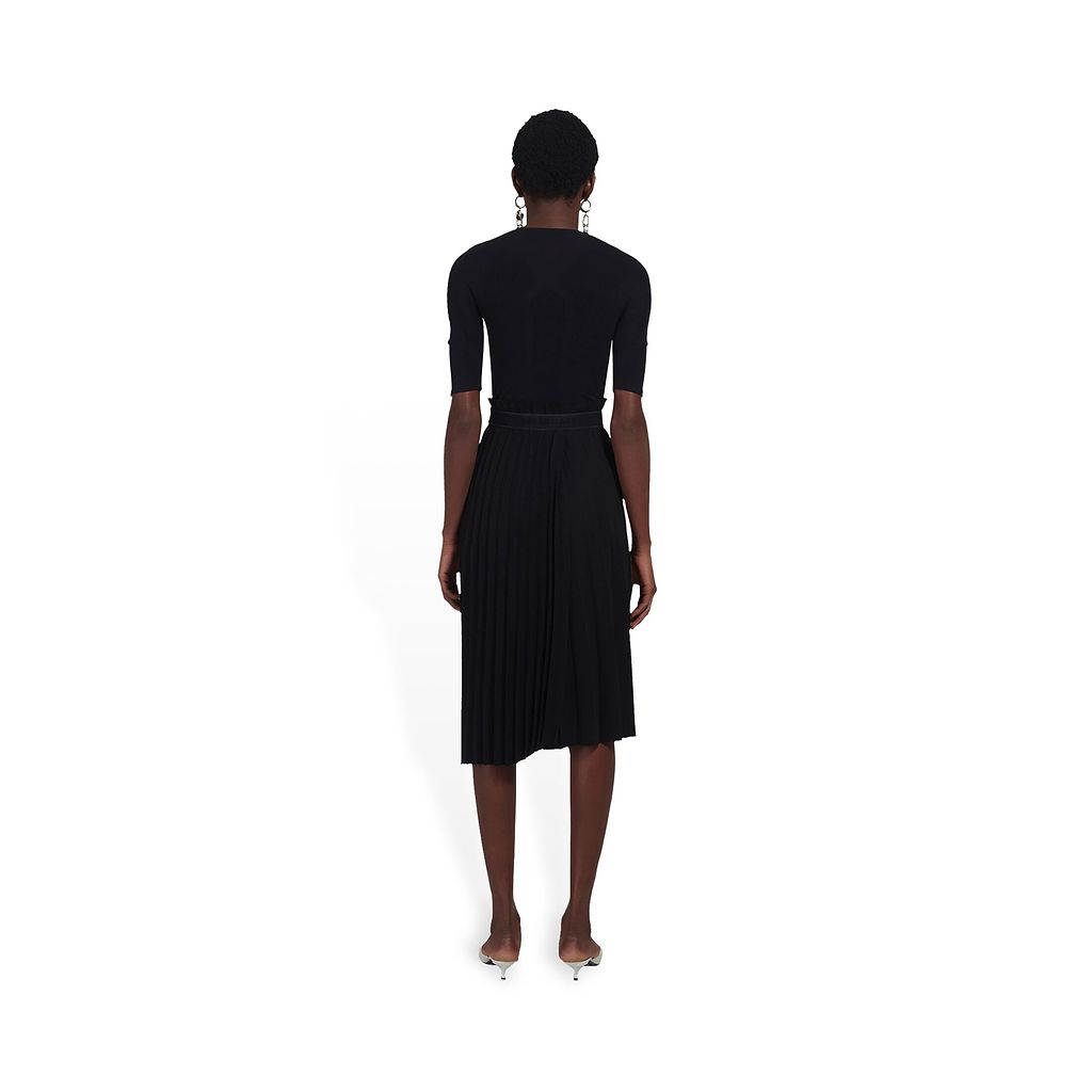 Fancy Pleated Skirt