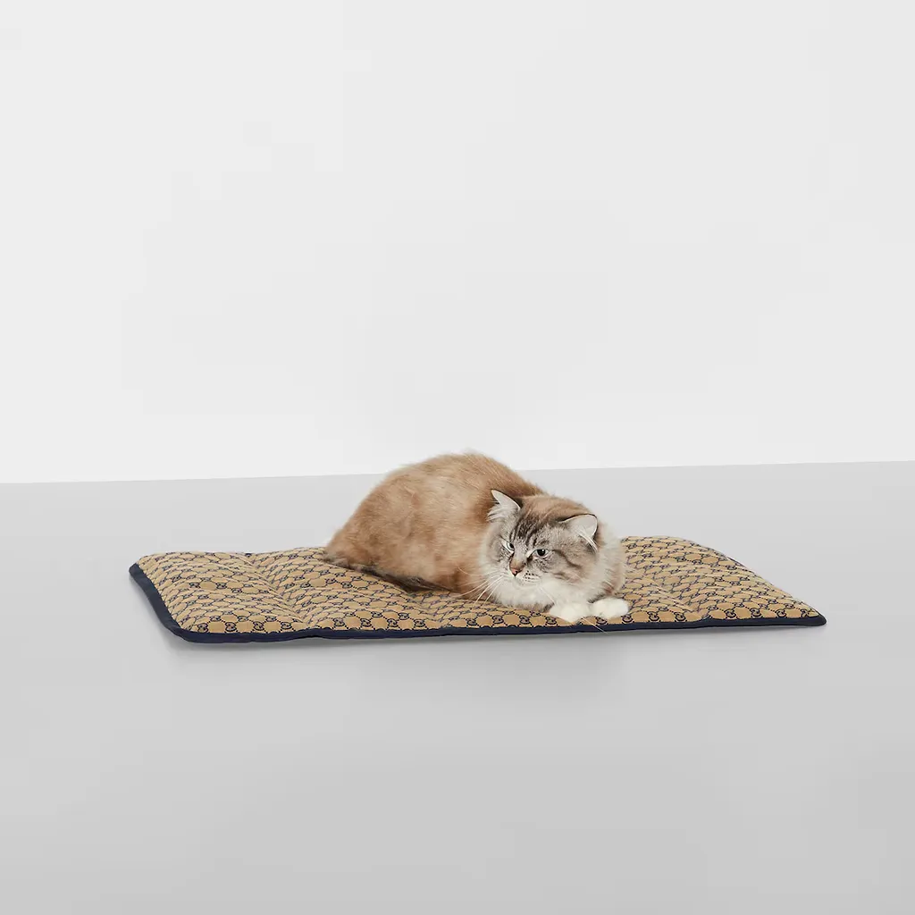 Portable Pet Bed