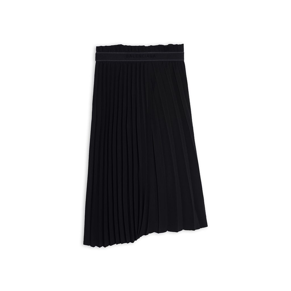 Fancy Pleated Skirt