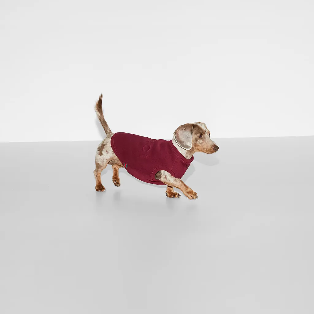 Embossed Cotton Pet Sweatshirt
