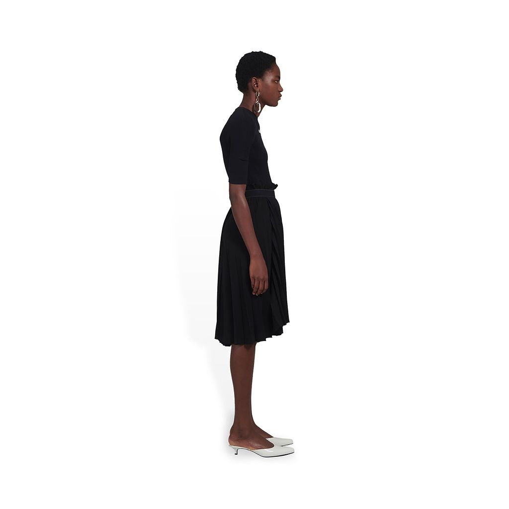 Fancy Pleated Skirt