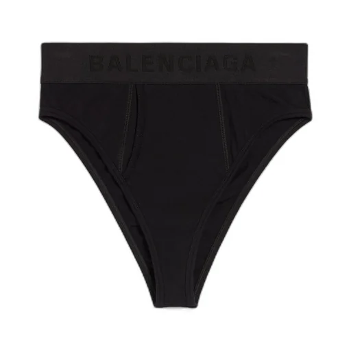 Briefs