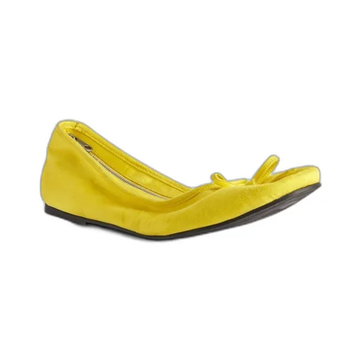 Shoe Clutch Ballerina