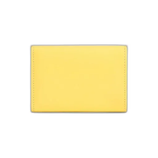 Envelope Mini Wallet