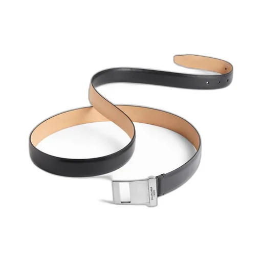 Clip Belt
