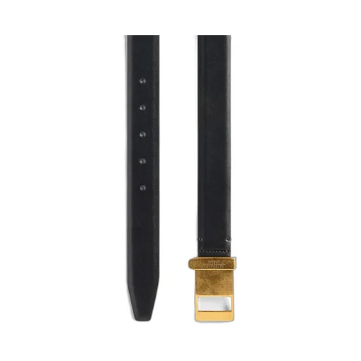 Clip Belt
