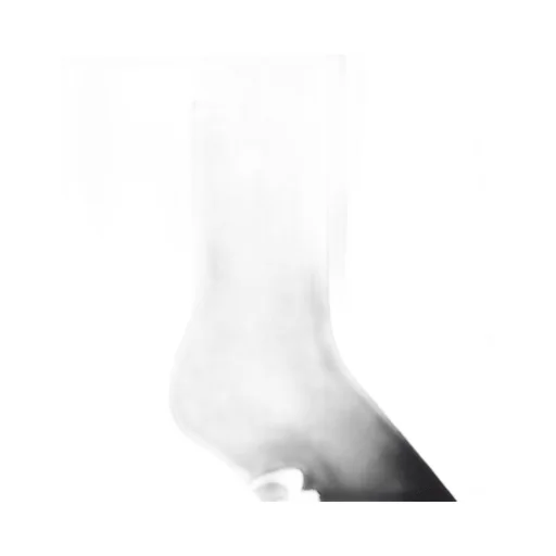 Unity Sports Icon Socks