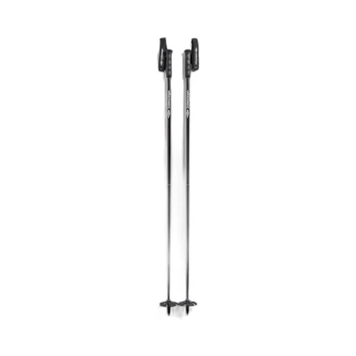 Ski Poles