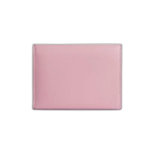 Envelope Mini Wallet