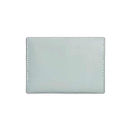 Envelope Mini Wallet