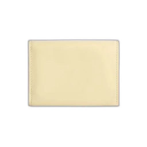 Envelope Mini Wallet 