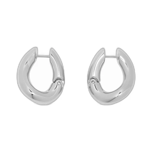 Loop Earrings