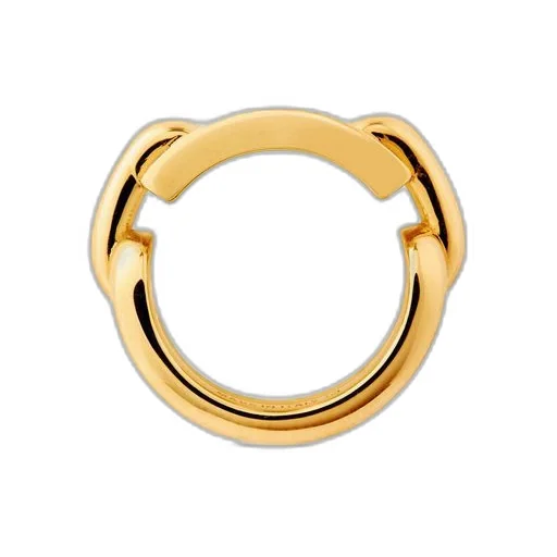 B Chain 2.0 Ring