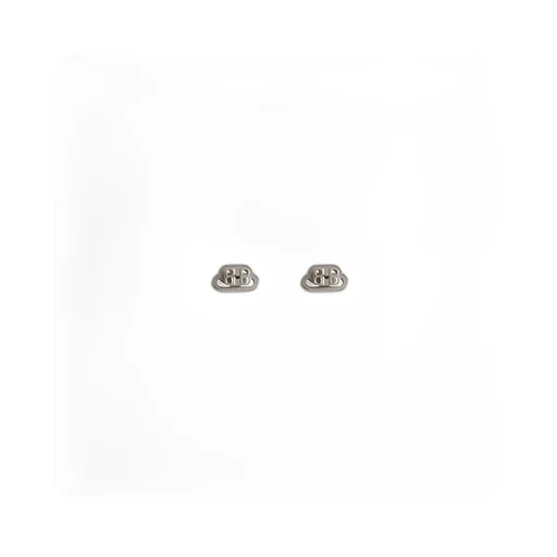 Bb Xs Stud Earrings